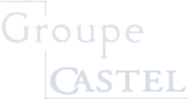 Groupe Castel